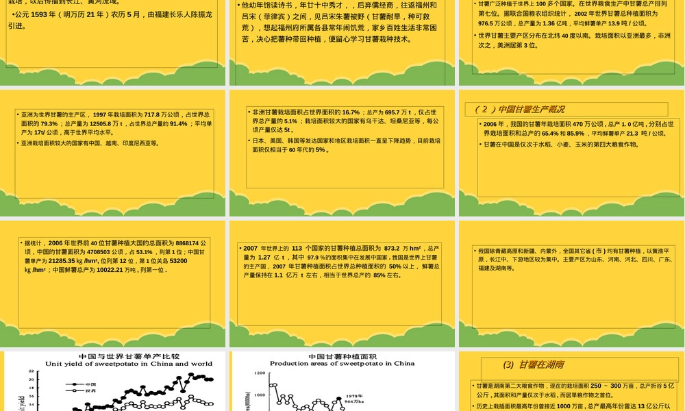 甘薯及其加工利用教学PPT课件.ppt