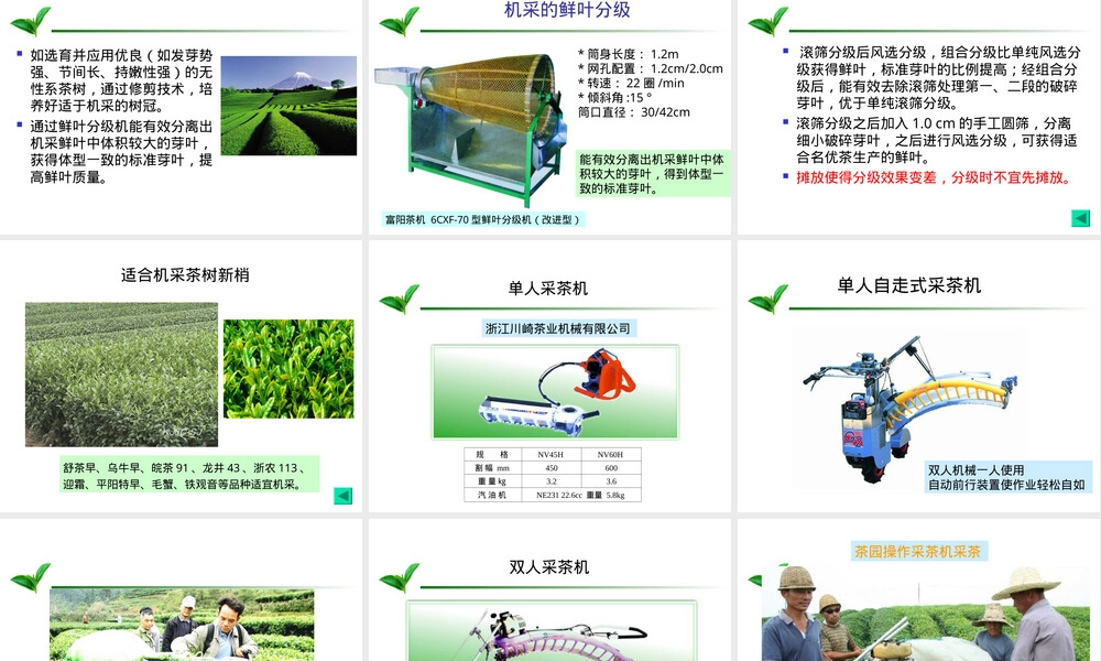 机采茶园管理与机采技术PPT课件 副本1.ppt