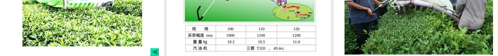 机采茶园管理与机采技术PPT课件 副本1.ppt