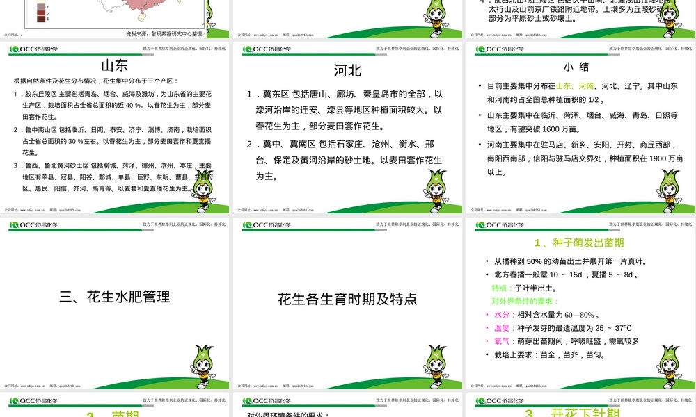花生高产栽培、管理技术.ppt