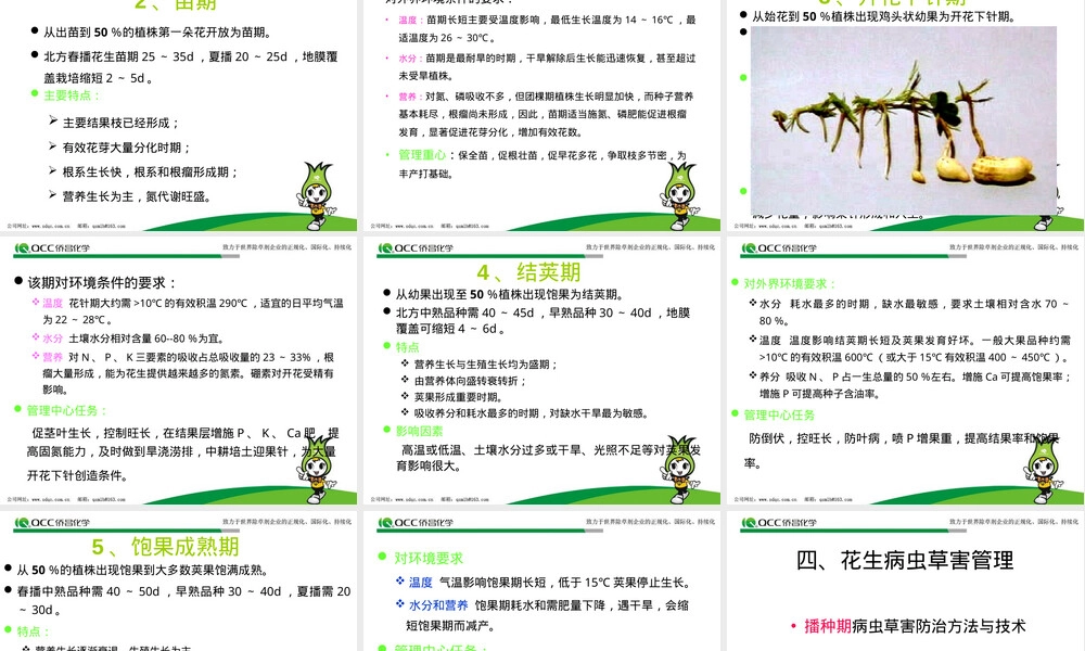 花生高产栽培、管理技术.ppt