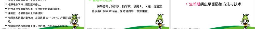 花生高产栽培、管理技术.ppt