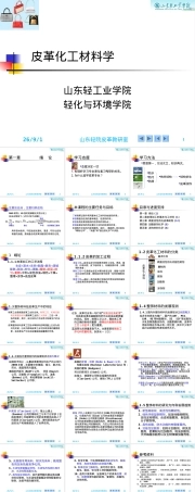 皮革化工材料教学PPT课件 副本1.ppt