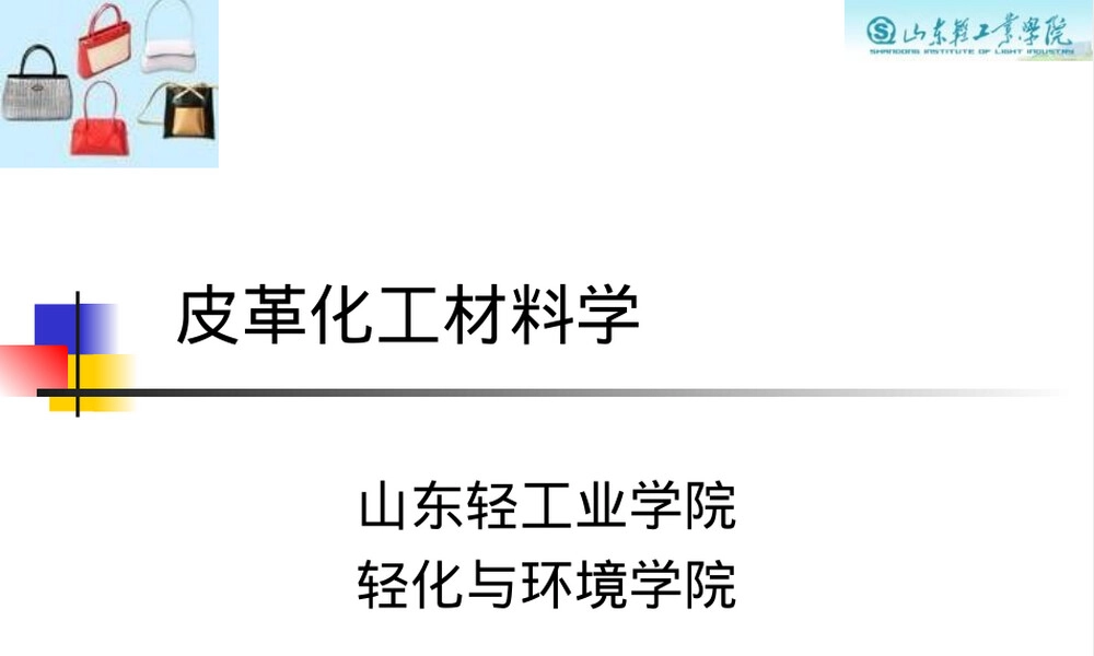 皮革化工材料教学PPT课件 副本1.ppt