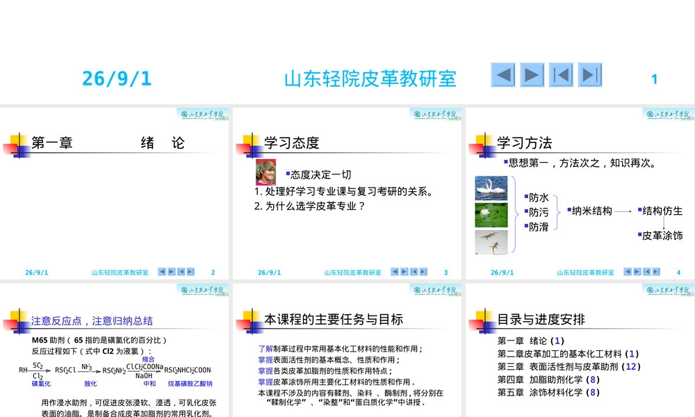 皮革化工材料教学PPT课件 副本1.ppt