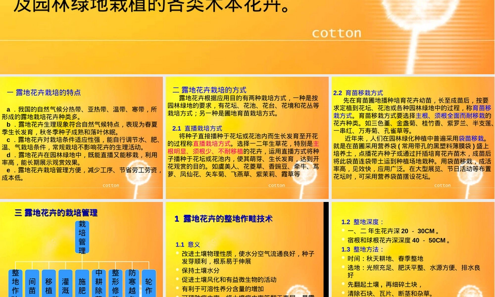 露地花卉栽培管理PPT课件.ppt