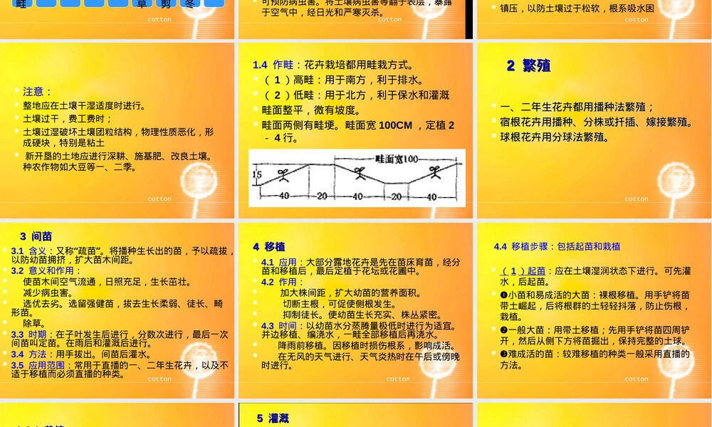 露地花卉栽培管理PPT课件.ppt