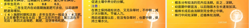 露地花卉栽培管理PPT课件.ppt