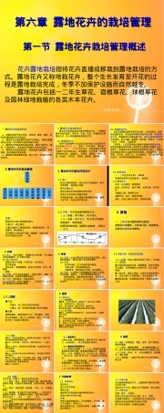 露地花卉栽培管理PPT课件.ppt