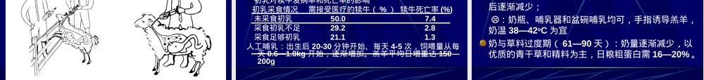 奶山羊营养与饲养管理PPT课件.ppt