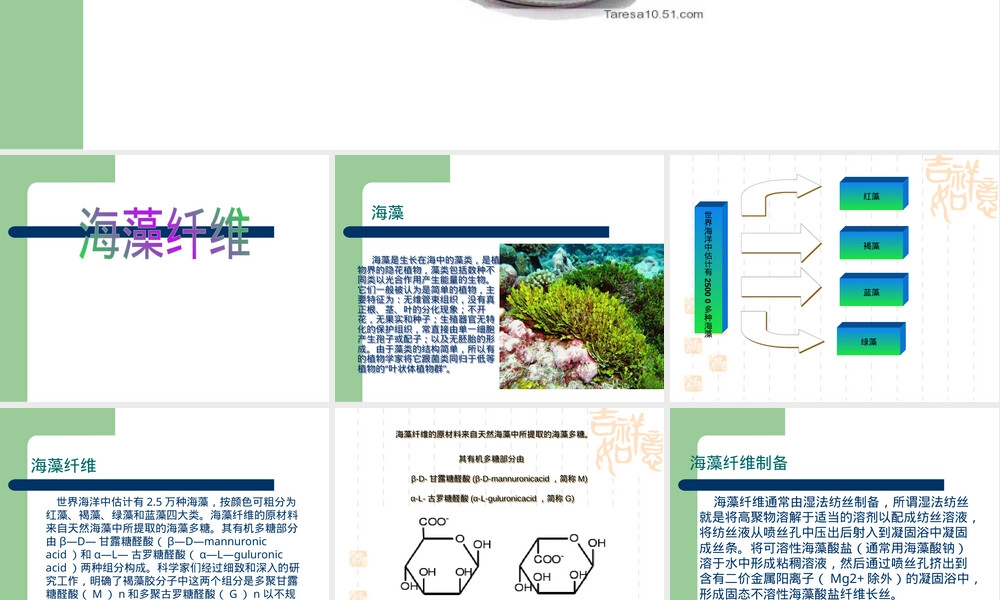 海藻纤维材料特性与应用PPT课件 副本1.pptx