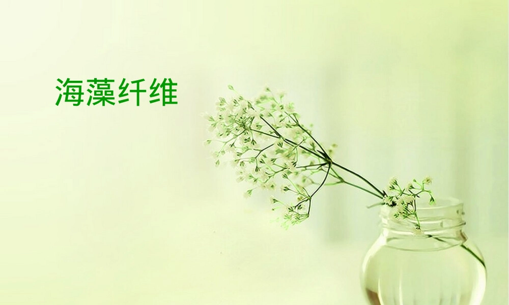 海藻纤维材料特性与应用PPT课件.ppt