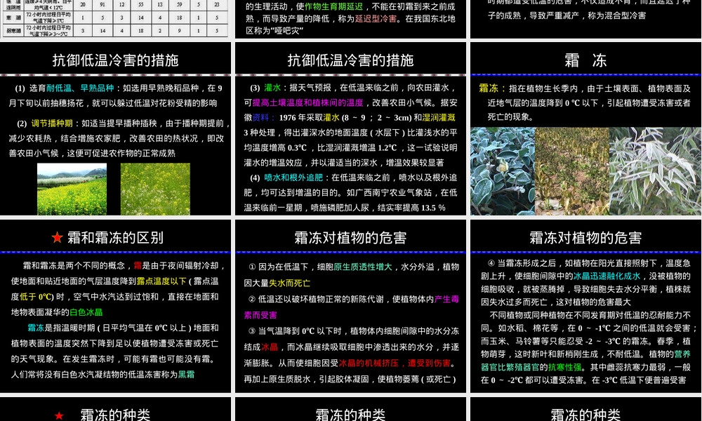 农业气象学之气象灾害及其防御PPT课件.ppt