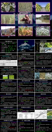 农业气象学之气象灾害及其防御PPT课件.ppt