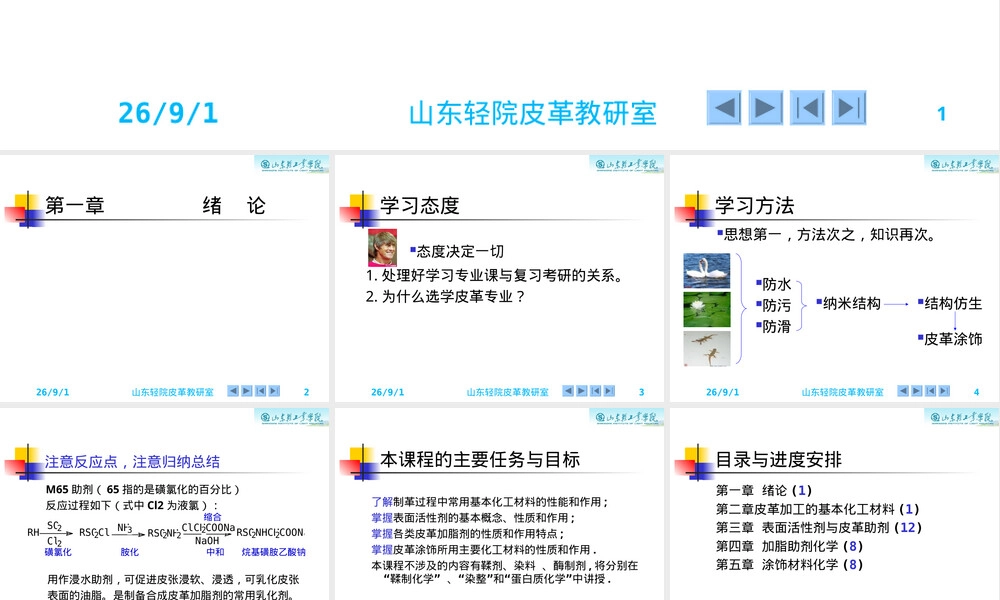皮革化工材料教学PPT课件.ppt