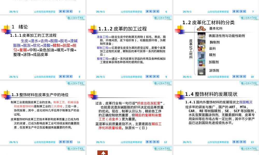 皮革化工材料教学PPT课件.ppt