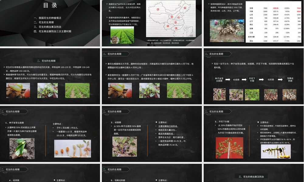 花生高产栽培管理技术PPT课件 副本1.ppt