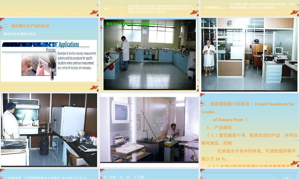 加工番茄及其产品分级标准PPT课件.pptx