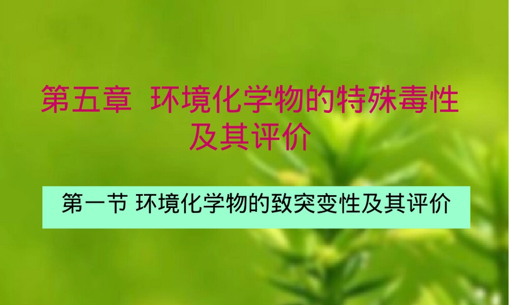 基因突变试验教学PPT课件.ppt