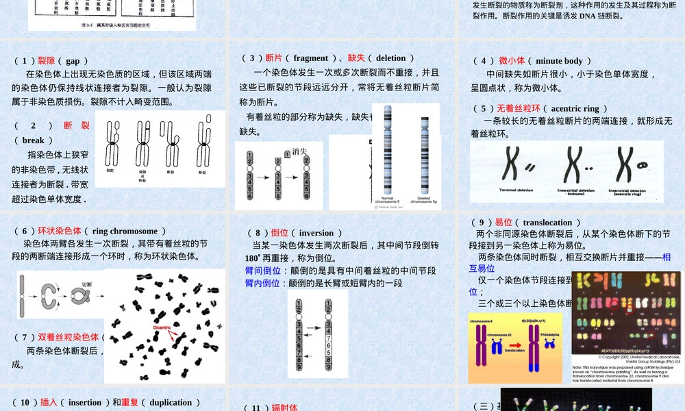 基因突变试验教学PPT课件.ppt