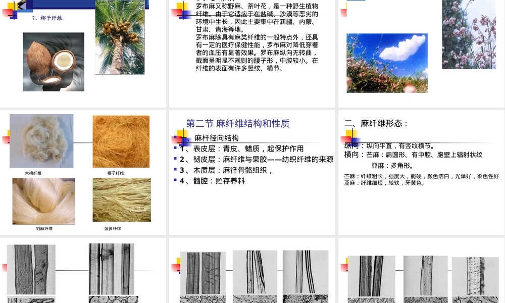 纺纱原料初加工PPT课件｜麻纤维及其初加工.ppt