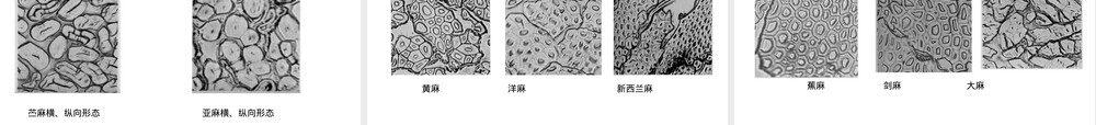 纺纱原料初加工PPT课件｜麻纤维及其初加工.ppt