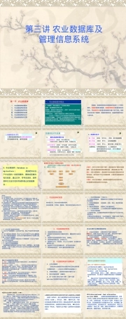 农业数据库管理信息系统PPT课件.ppt
