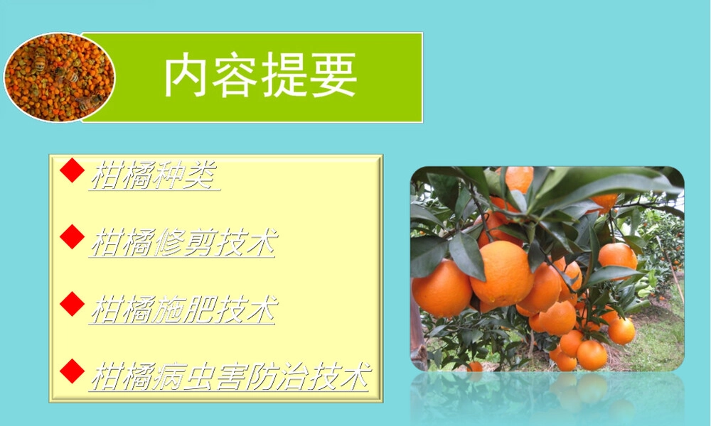 柑橘栽培管理技术PPT课件.ppt