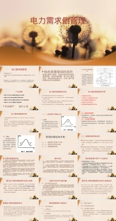电力需求侧管理PPT课件.pptx