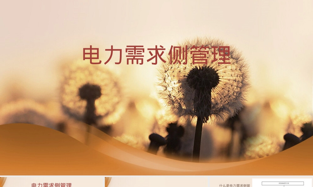 电力需求侧管理PPT课件.pptx