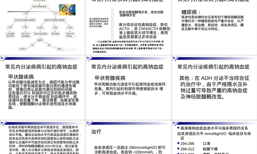 高钠血症诊断与治疗PPT课件.ppt