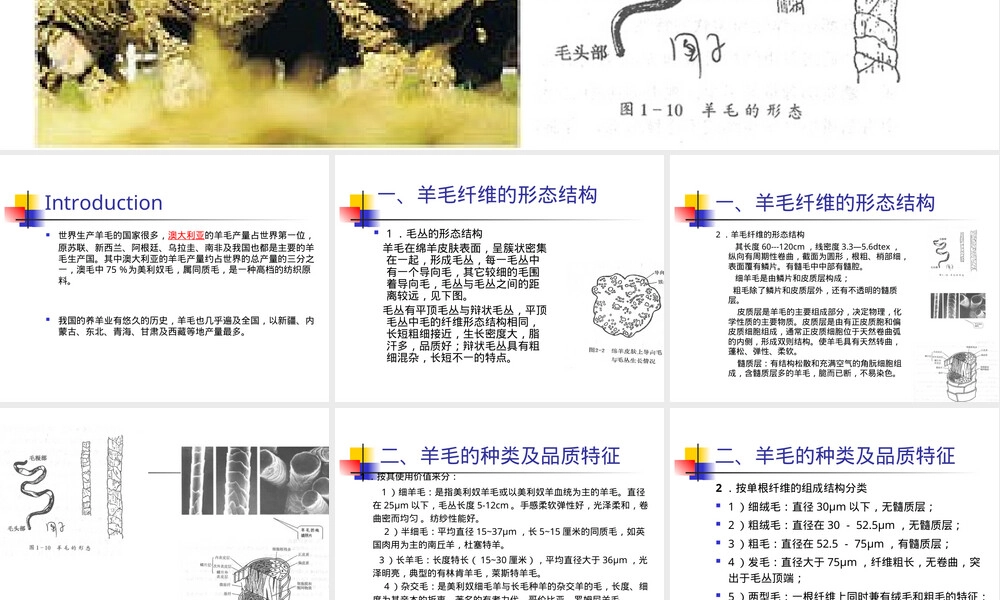 毛纤维纺织材料教学PPT课件.ppt