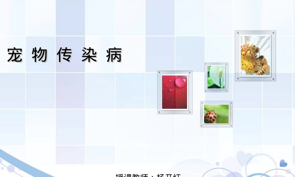 第一、二章宠物传染病发生与防疫教学PPT课件.ppt