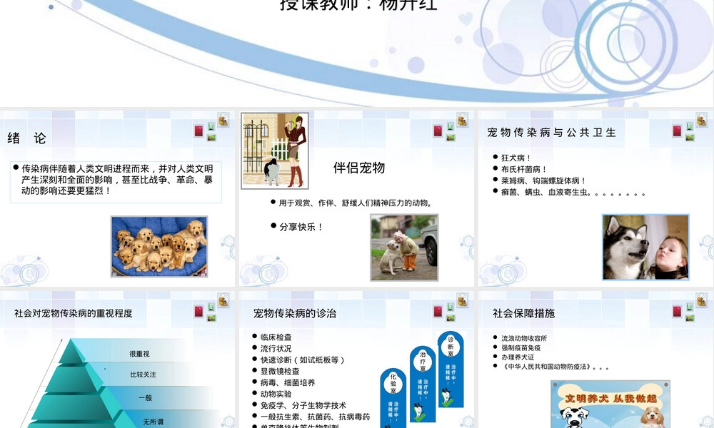 第一、二章宠物传染病发生与防疫教学PPT课件.ppt