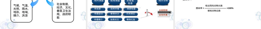 第一、二章宠物传染病发生与防疫教学PPT课件.ppt