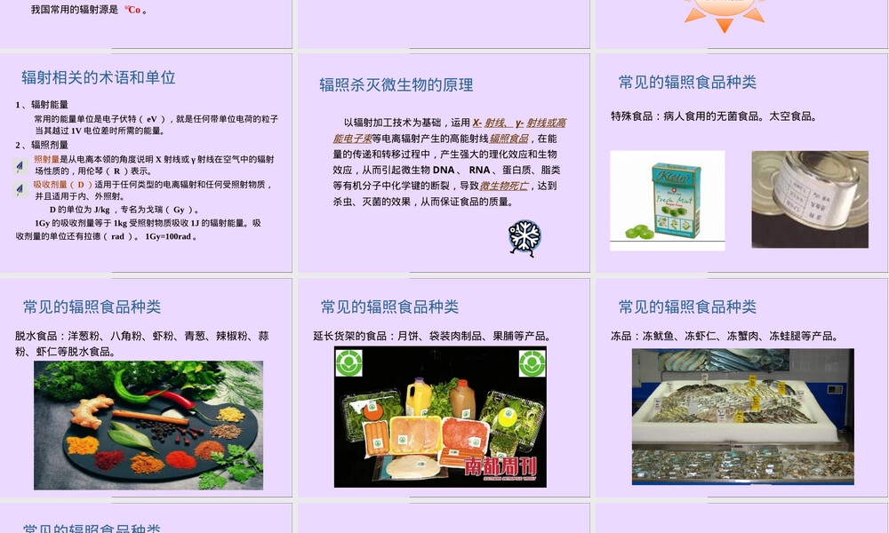 辐照食品安全性与卫生管理PPT课件.ppt