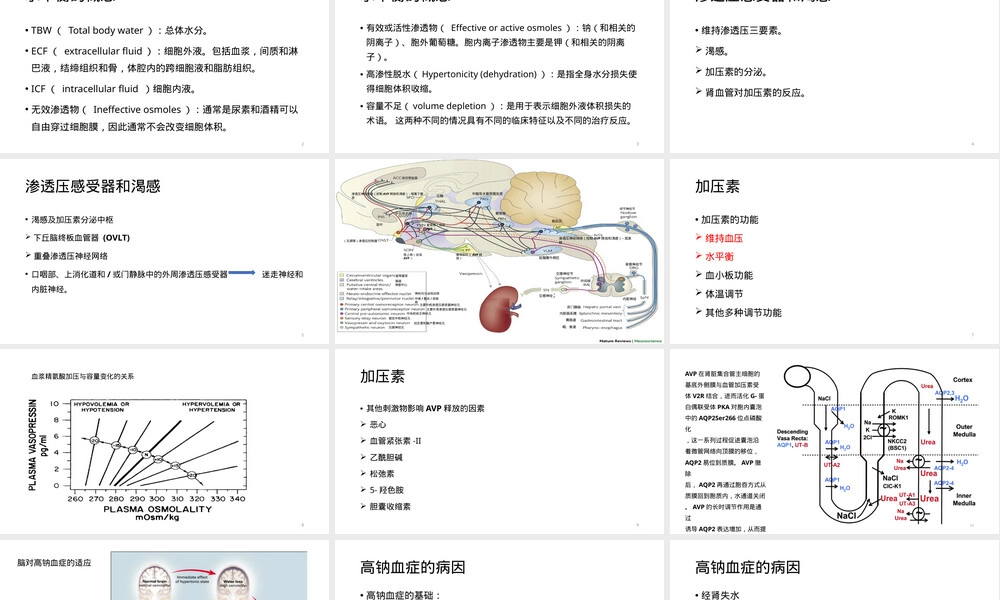高钠血症诊断与治疗教学PPT课件 副本2.ppt