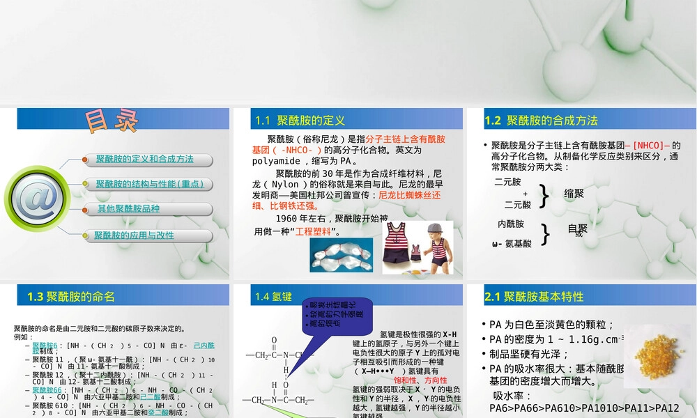 高分子材料聚酰胺PPT课件.ppt