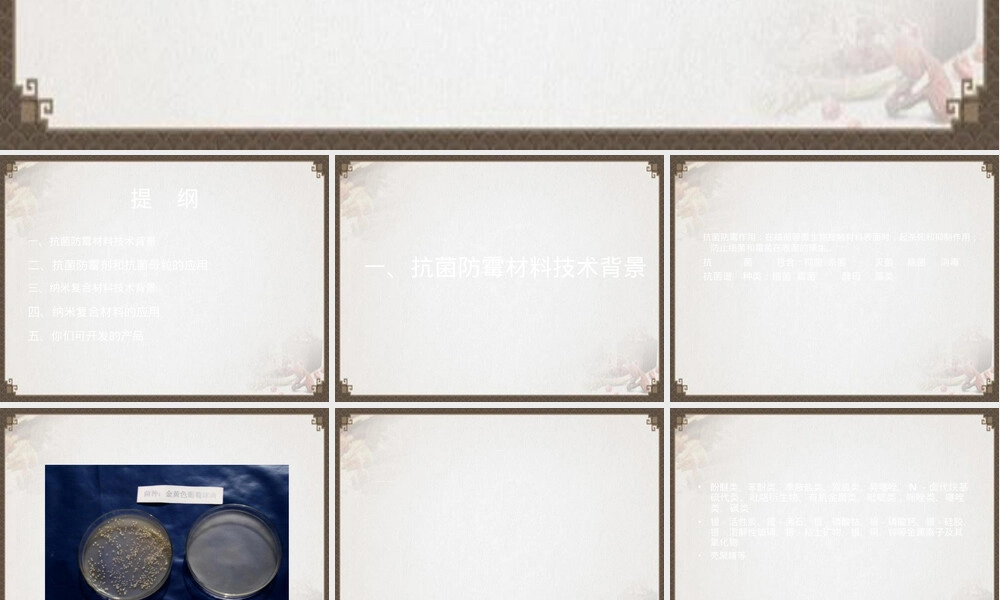 聚合物材料抗菌防霉与纳米改性技术应用PPT课件.ppt