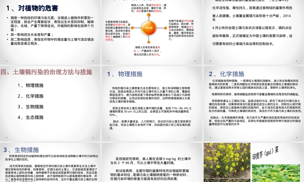 镉污染及其治理PPT课件.ppt