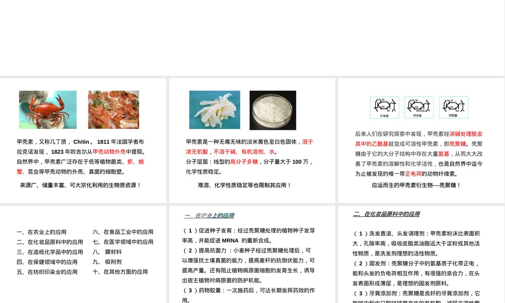 甲壳素与壳聚糖基础知识PPT课件.ppt