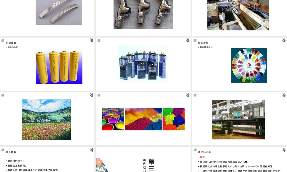 镉及其化合物危害PPT课件.pptx
