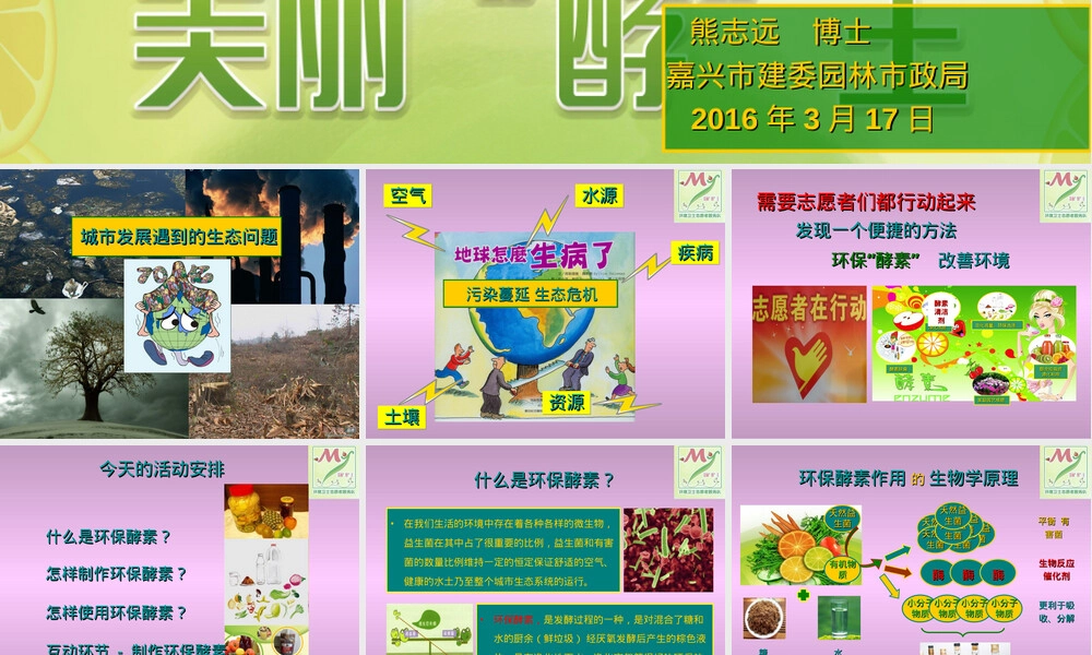 环保酵素及其应用PPT课件.ppt