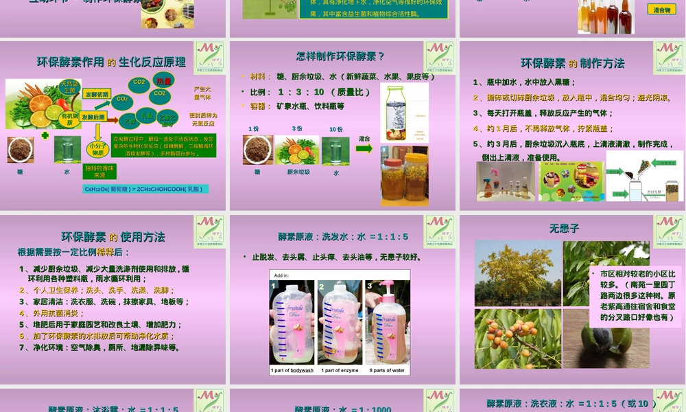 环保酵素及其应用PPT课件.ppt