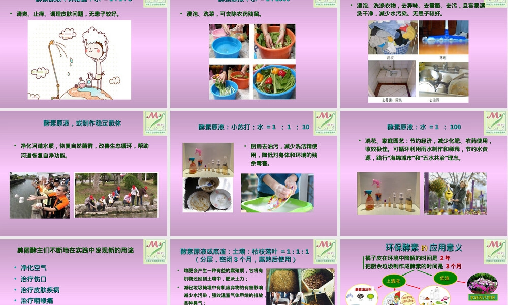 环保酵素及其应用PPT课件.ppt