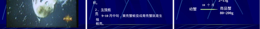 中华绒螯蟹养殖技术教学PPT课件.pptx