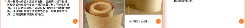 竹材及其制品PPT课件.ppt