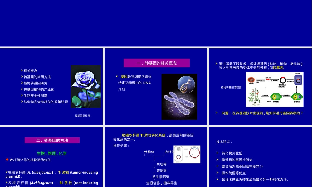 转基因植物及其安全性教学PPT课件.ppt