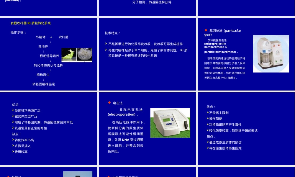 转基因植物及其安全性教学PPT课件.ppt