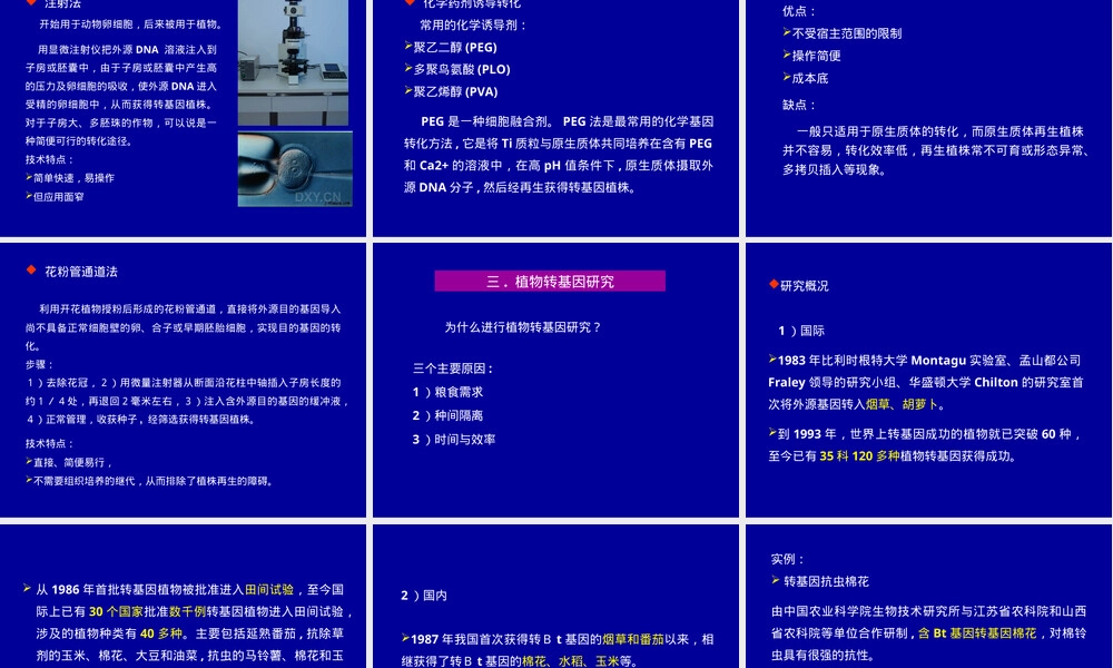 转基因植物及其安全性教学PPT课件.ppt